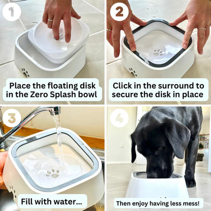 Zero Splash Dog Water Bowl